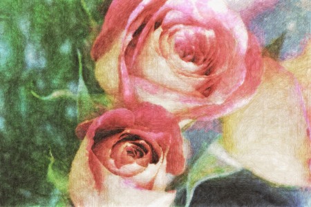 roses pastel pencil 8-11-11.jpg